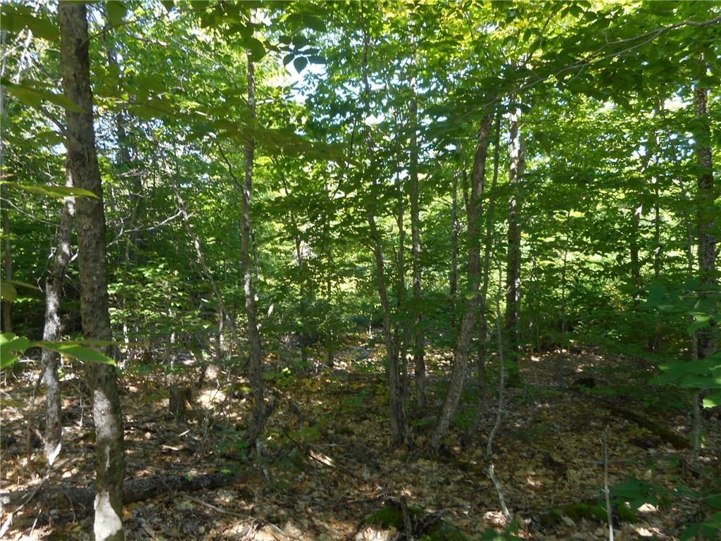 Lot 9 188th Route Lowell, ME 04493 - Photo 4 of 7 Photo