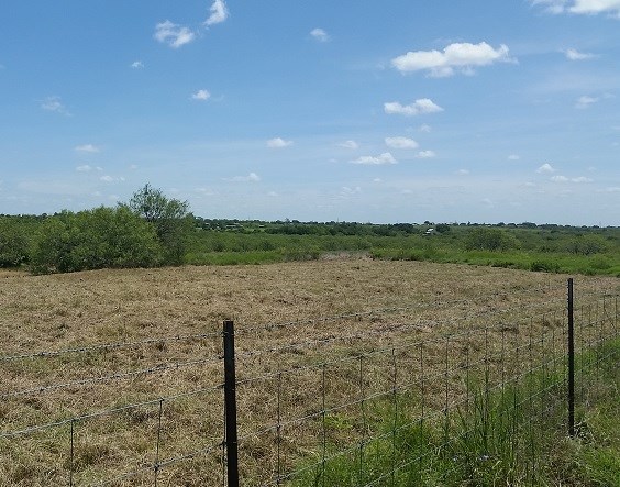 15.5-acres Graef Road Kyle, TX 78640 - Photo 1 of 1 a view of a lake with a yard