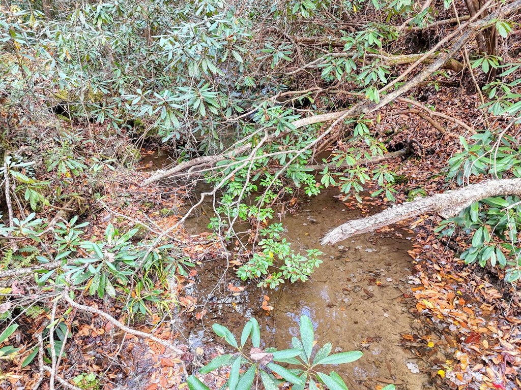 135.49-ac Webb Creek Road Andrews, NC 28901 - Photo 11 of 28