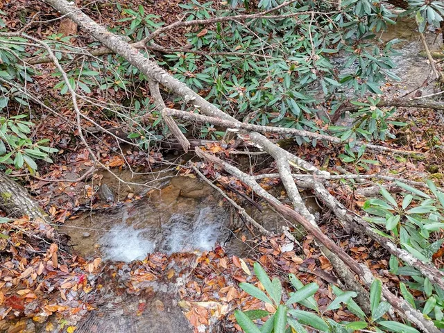 $700,000 | 135.49-ac Webb Creek Road, Andrews, NC 28901