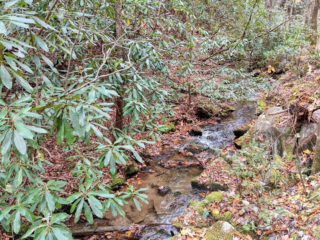 135.49-ac Webb Creek Road Andrews, NC 28901 - Photo 14 of 28 a backyard of a house