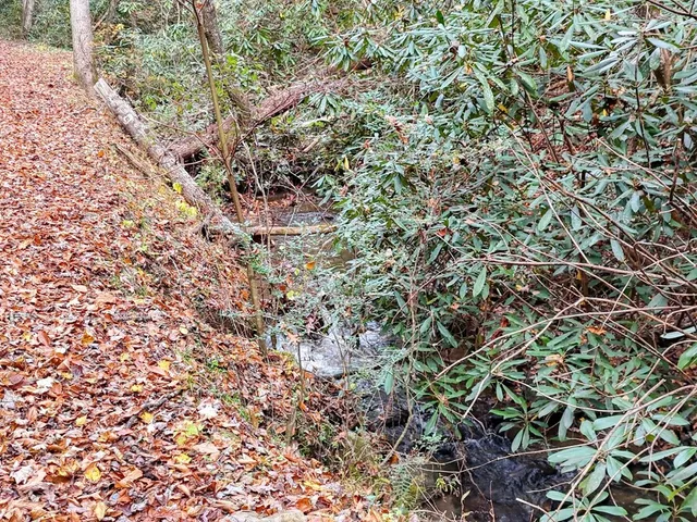 $700,000 | 135.49-ac Webb Creek Road, Andrews, NC 28901