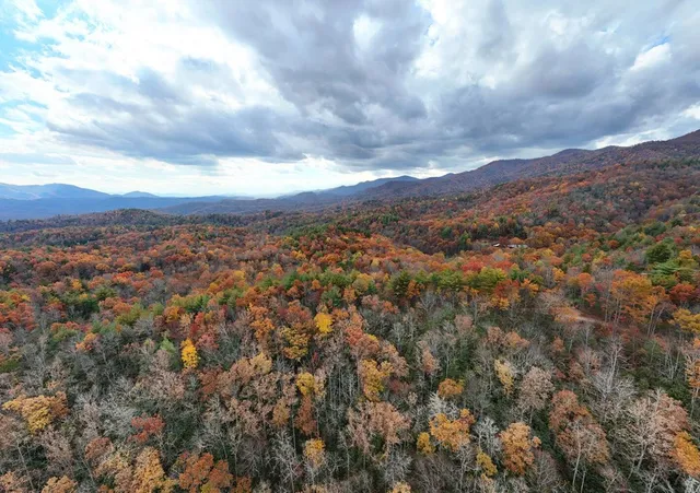 $700,000 | 135.49-ac Webb Creek Road, Andrews, NC 28901