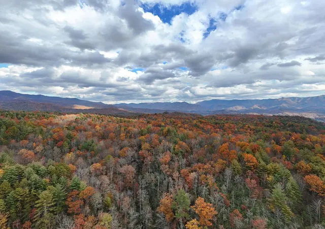 $700,000 | 135.49-ac Webb Creek Road, Andrews, NC 28901