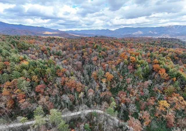 $700,000 | 135.49-ac Webb Creek Road, Andrews, NC 28901