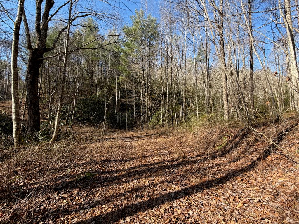 135.49-ac Webb Creek Road Andrews, NC 28901 - Photo 21 of 28 a view of a backyard