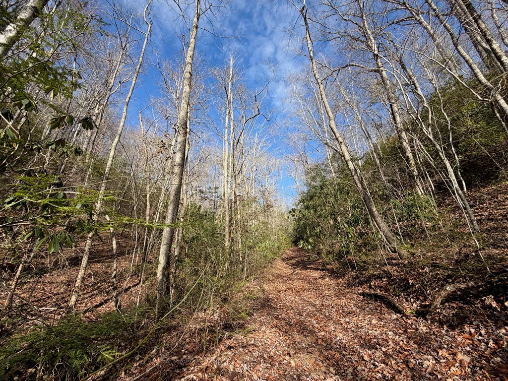 135.49-ac Webb Creek Road Andrews, NC 28901 - Photo 23 of 28 a backyard of a building