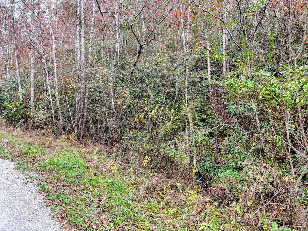 135.49-ac Webb Creek Road Andrews, NC 28901 - Photo 27 of 34