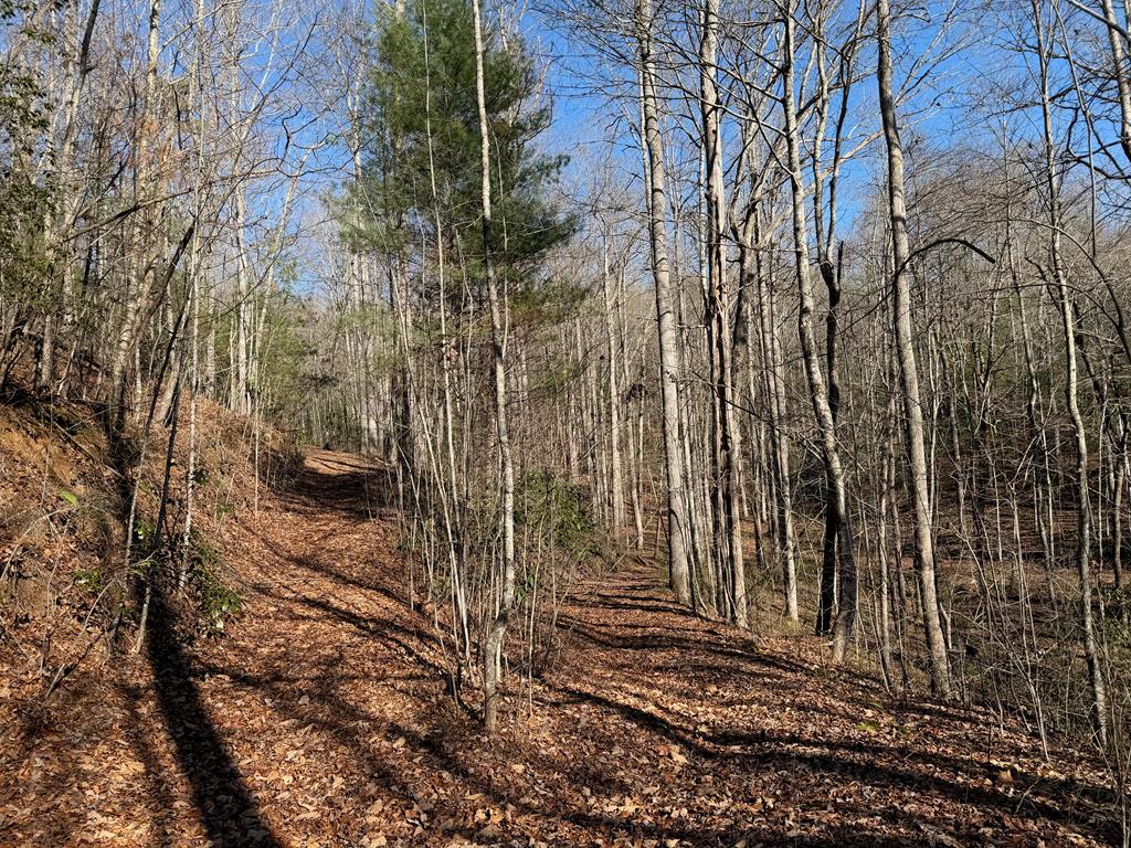 135.49-ac Webb Creek Road Andrews, NC 28901 - Photo 28 of 28 a view of a house with a yard