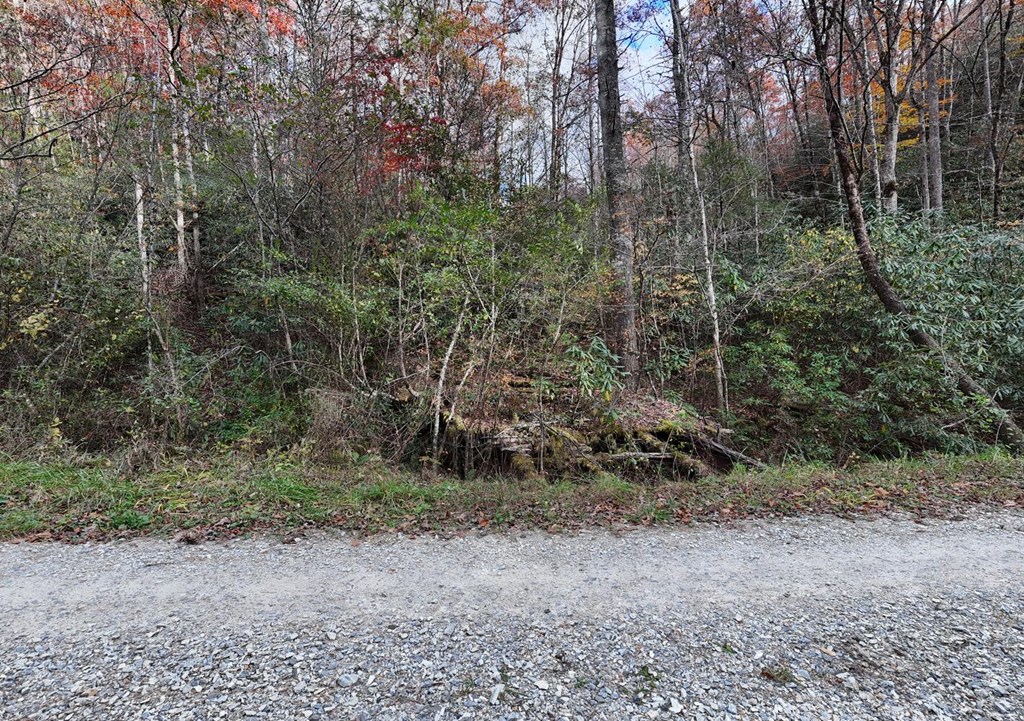 135.49-ac Webb Creek Road Andrews, NC 28901 - Photo 29 of 34