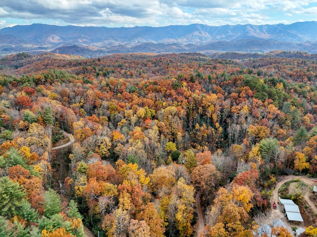 135.49-ac Webb Creek Road Andrews, NC 28901 - Photo 3 of 28 a view of city and mountain