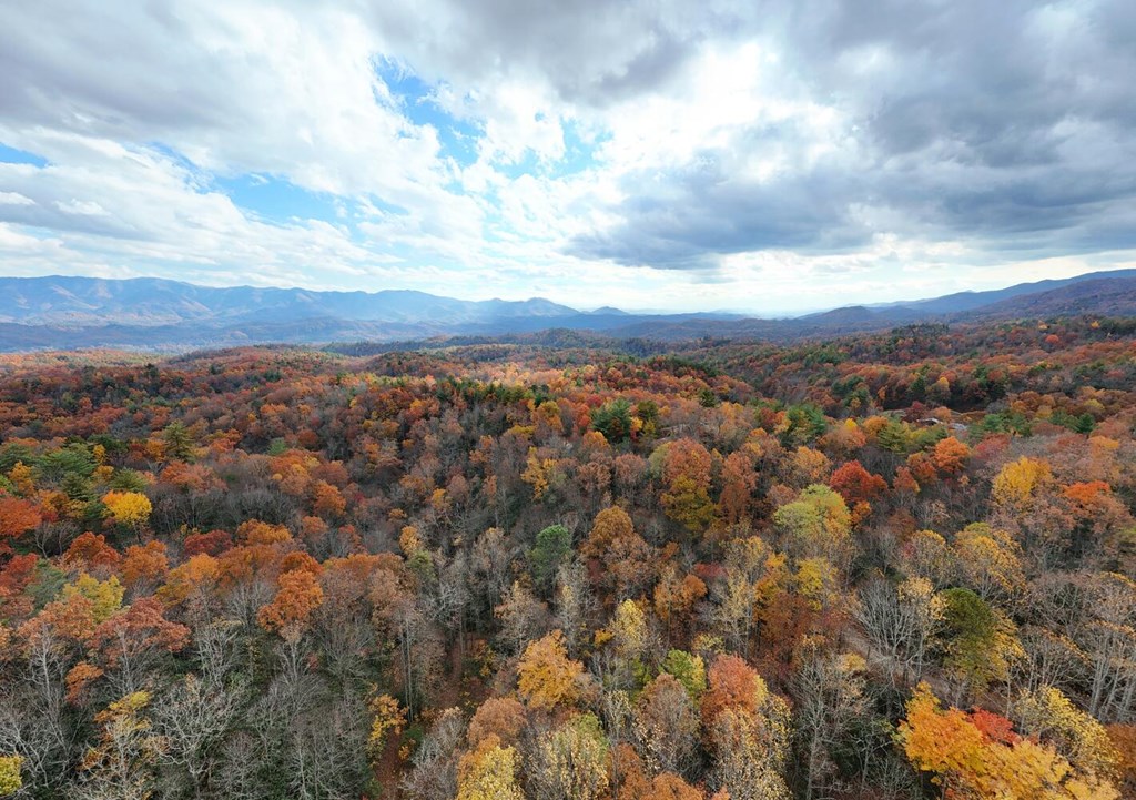 135.49-ac Webb Creek Road Andrews, NC 28901 - Photo 4 of 28