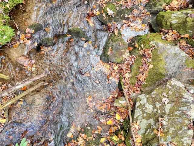 $700,000 | 135.49-ac Webb Creek Road, Andrews, NC 28901