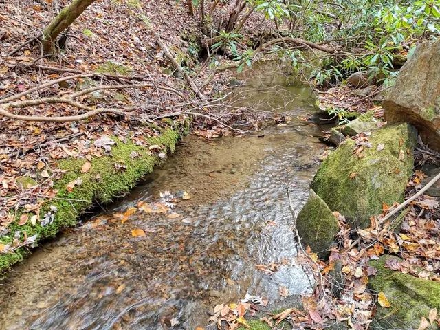 $700,000 | 135.49-ac Webb Creek Road, Andrews, NC 28901