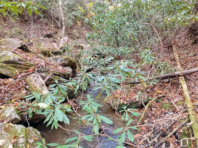 $700,000 | 135.49-ac Webb Creek Road, Andrews, NC 28901