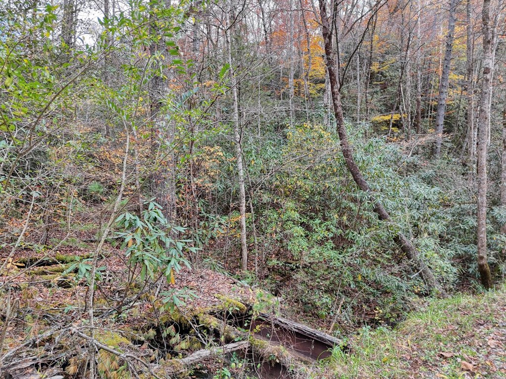 135.49-ac Webb Creek Road Andrews, NC 28901 - Photo 8 of 28 a aerial view of a house with lots of trees