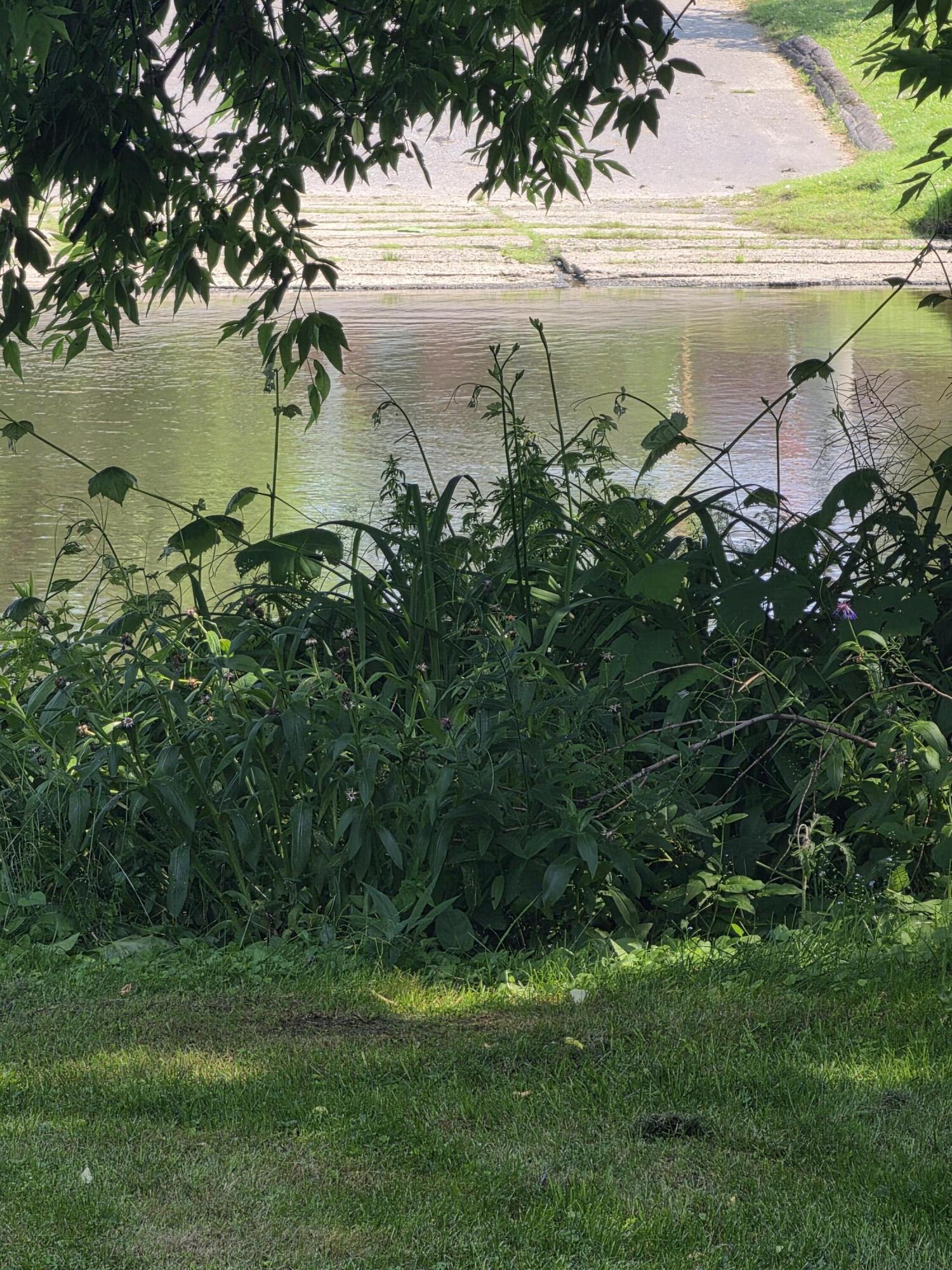 11 Exchange Street Presque Isle, ME 04769 - Photo 4 of 22 11 04
