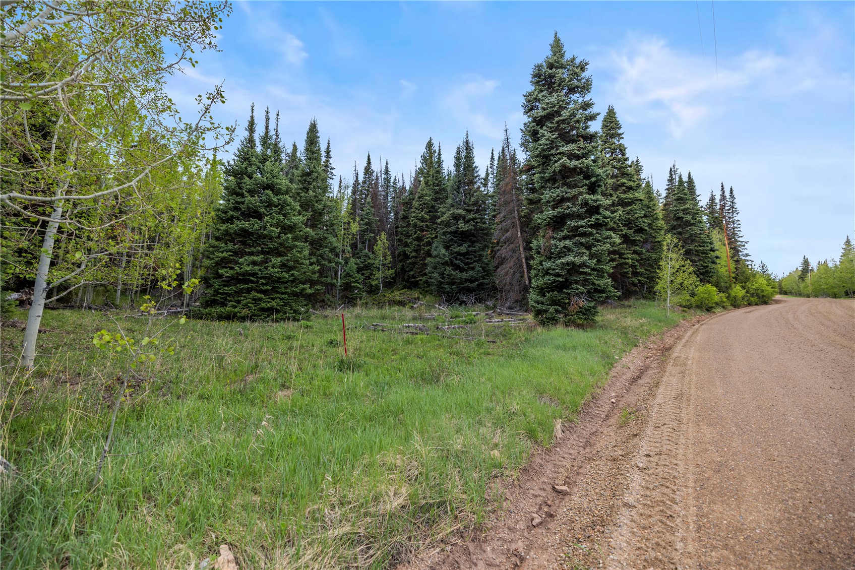 336 Blue Spruce Road Silverthorne, CO 80498 - Photo 25 of 28