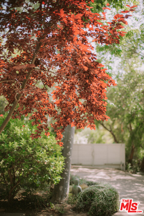 20569 Cheney Drive Topanga, CA 90290 - Photo 25 of 33