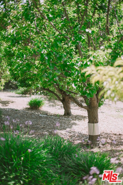 20569 Cheney Drive Topanga, CA 90290 - Photo 30 of 33