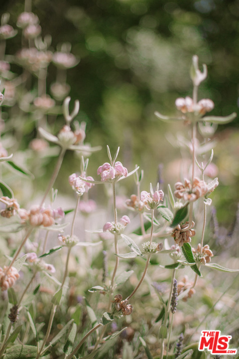 20569 Cheney Drive Topanga, CA 90290 - Photo 31 of 33