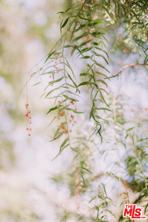 20569 Cheney Drive Topanga, CA 90290 - Photo 32 of 33