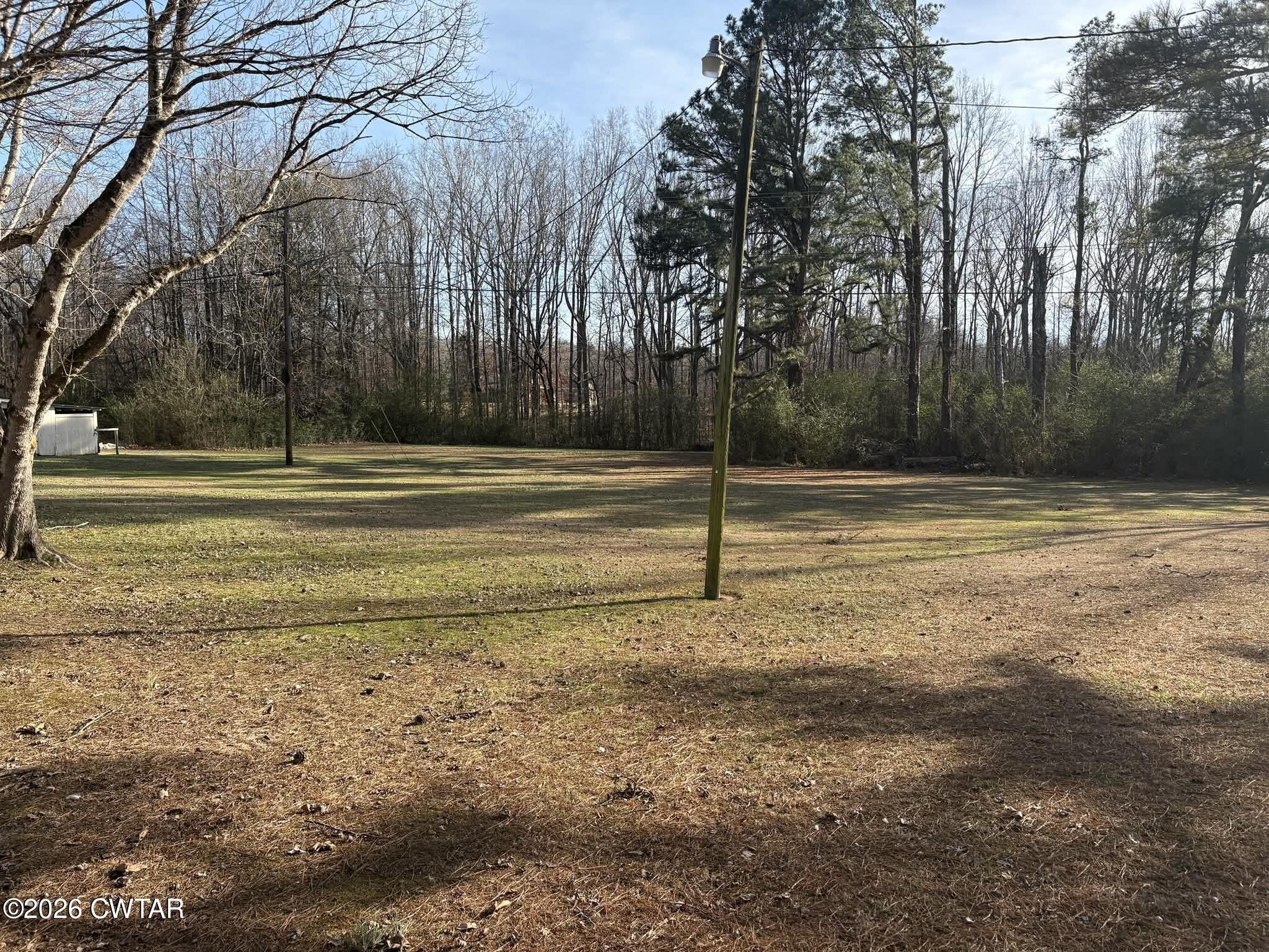 4072 Beech Bluff Road Beech Bluff, TN 38313 - Photo 43 of 51 a view of a yard with large trees