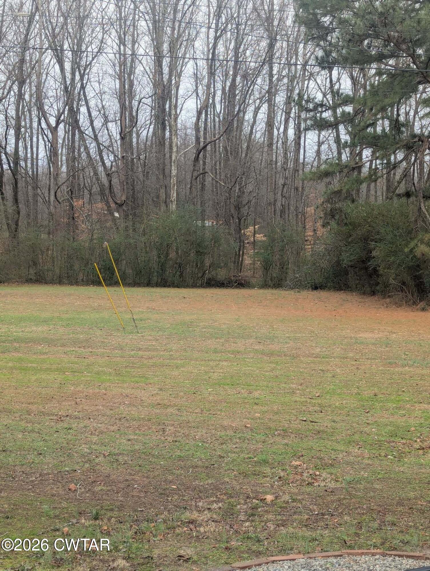 4072 Beech Bluff Road Beech Bluff, TN 38313 - Photo 44 of 51 a view of yard with trees
