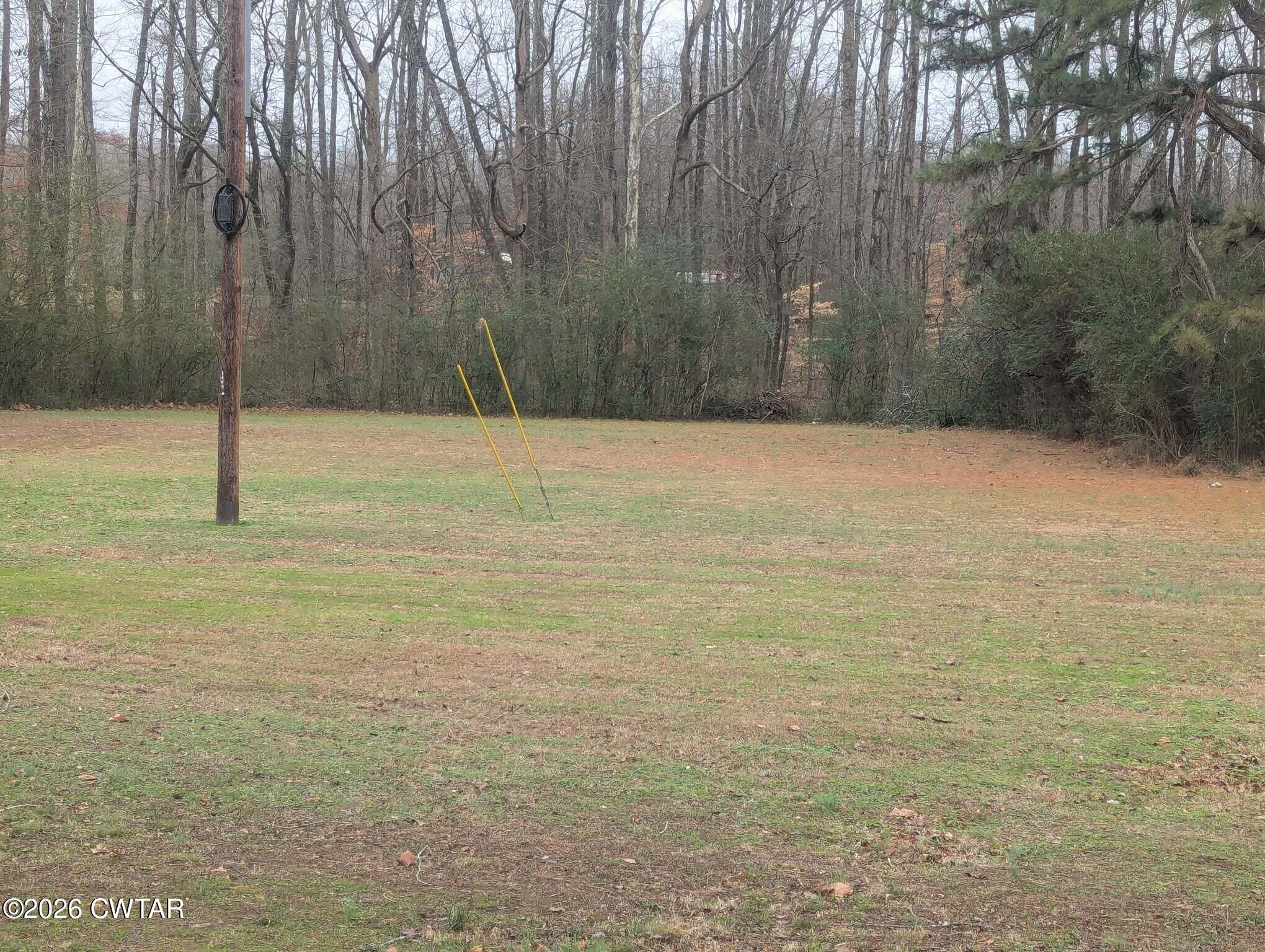 4072 Beech Bluff Road Beech Bluff, TN 38313 - Photo 45 of 51 a view of a yard