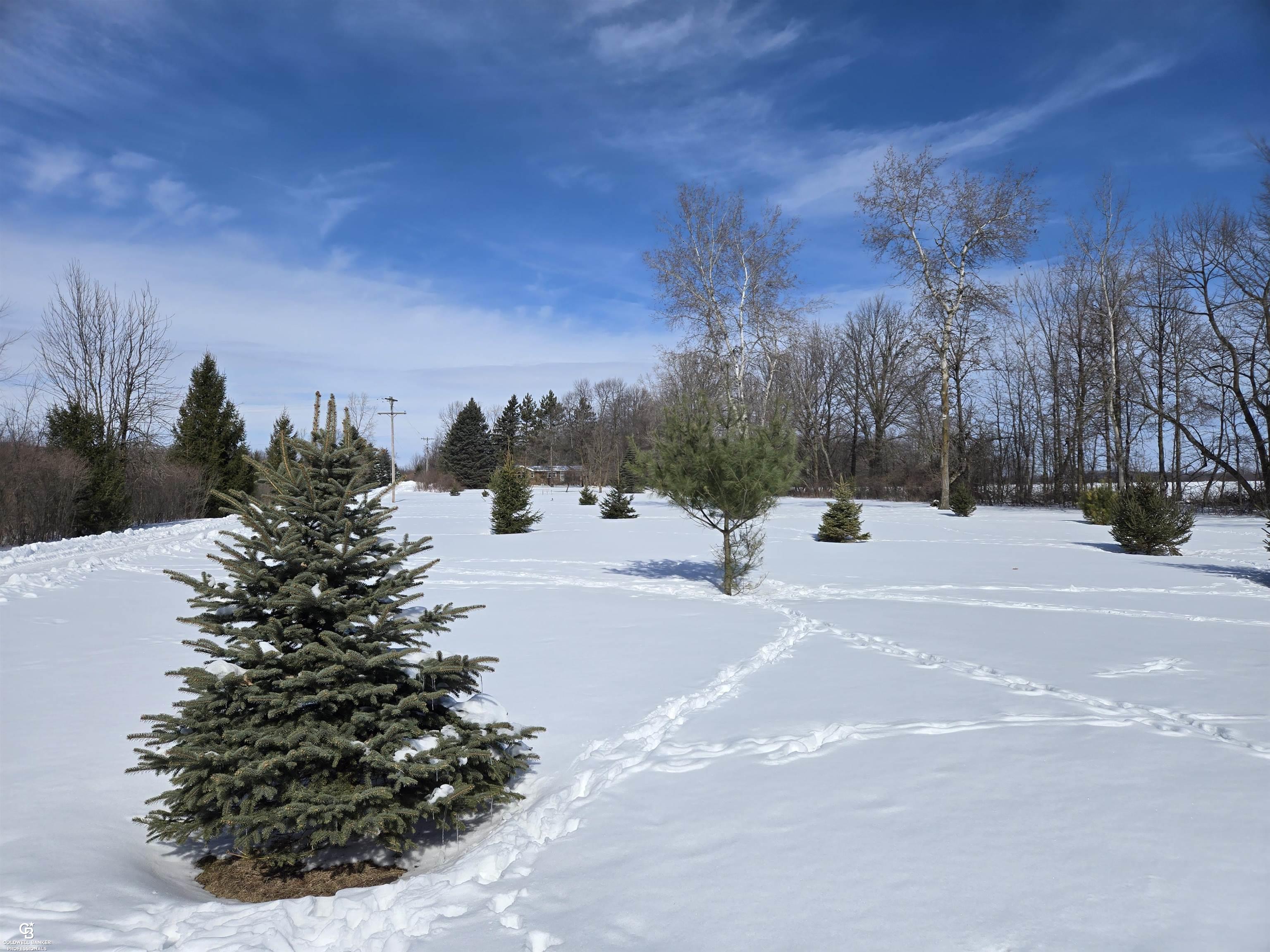 1221 East Fremont Road Melvin, MI 48454 - Photo 27 of 30