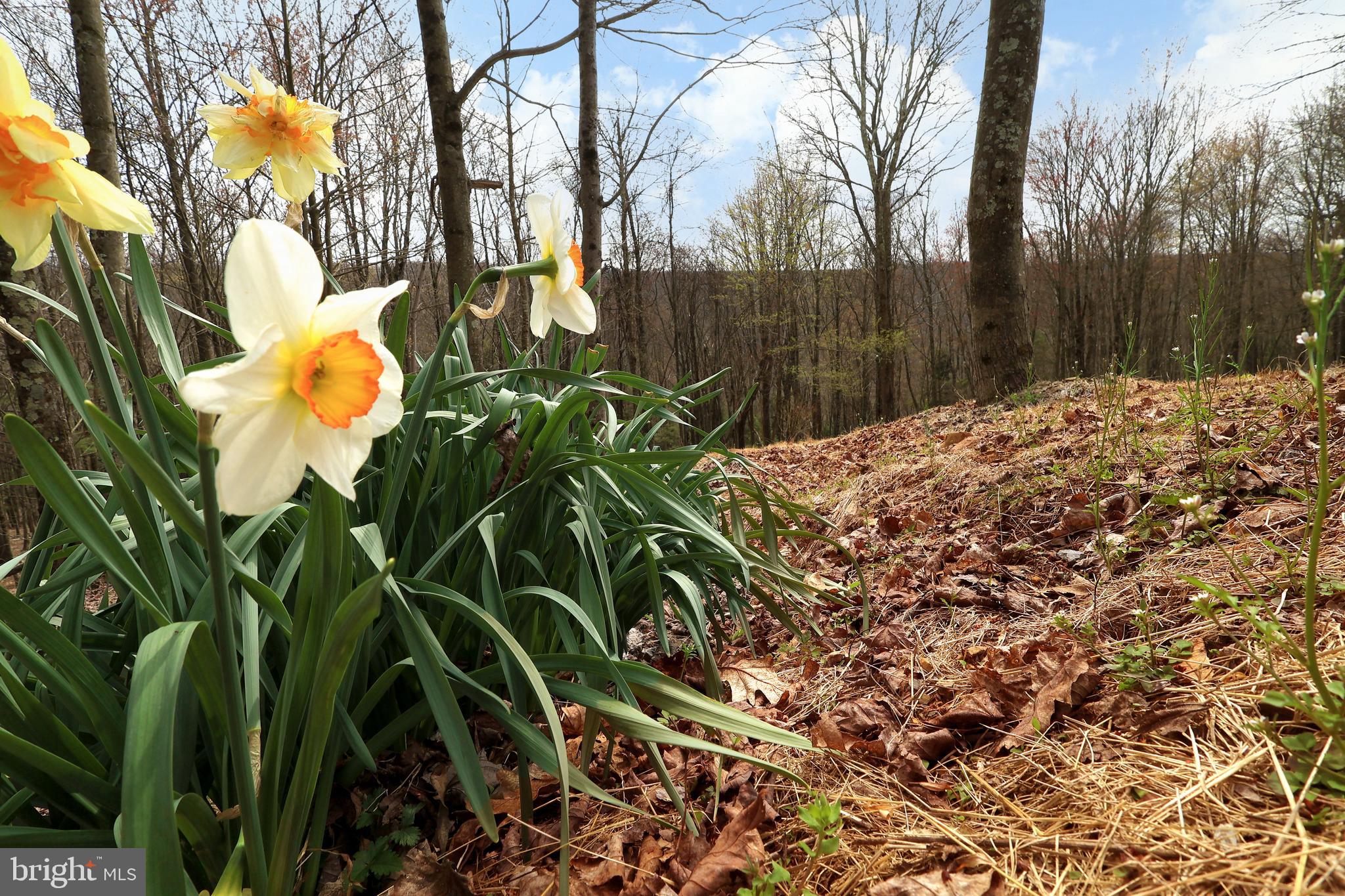 263 White Tail Road Woodward, PA 16882 - Photo 32 of 50