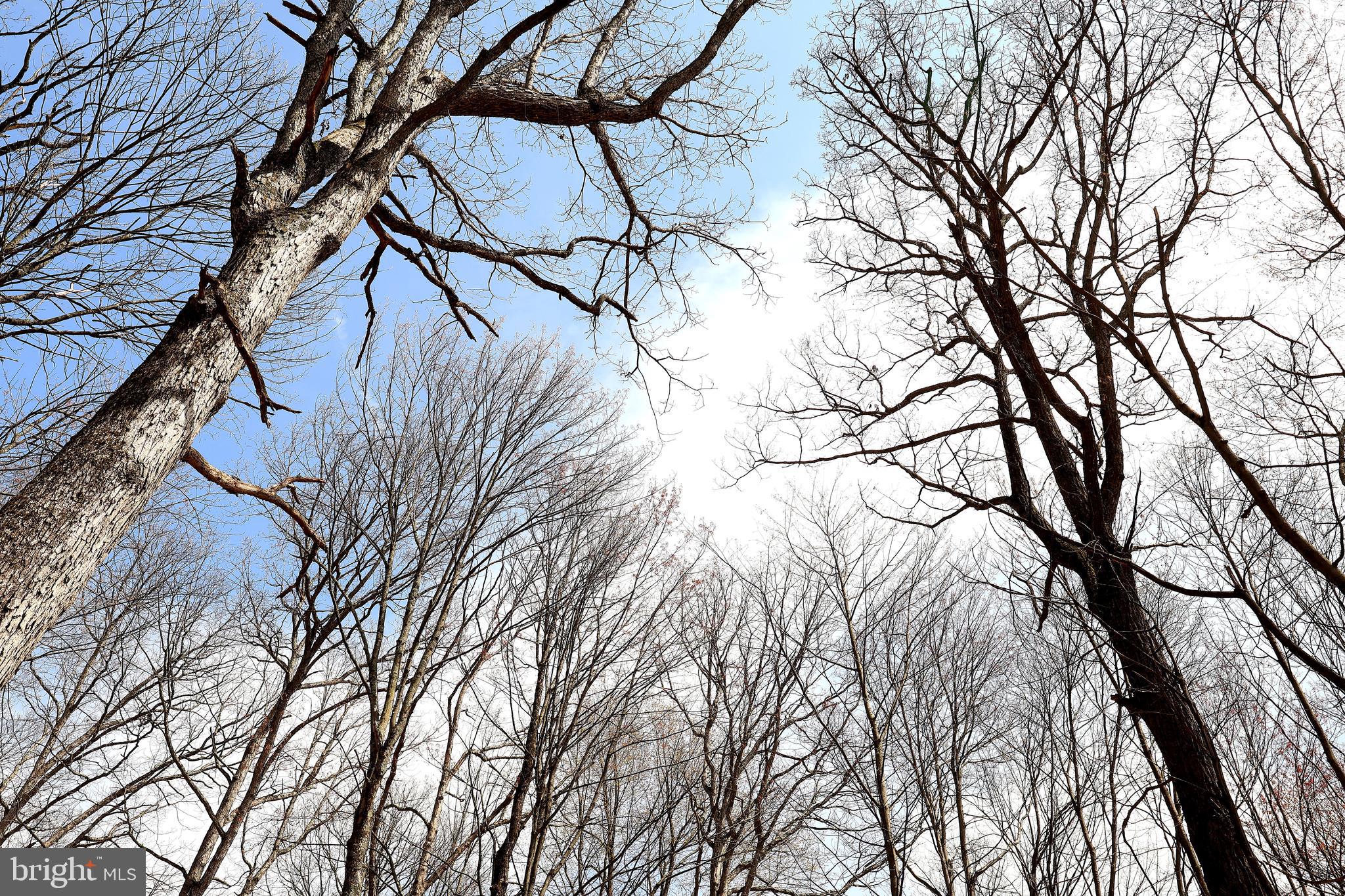 263 White Tail Road Woodward, PA 16882 - Photo 40 of 50