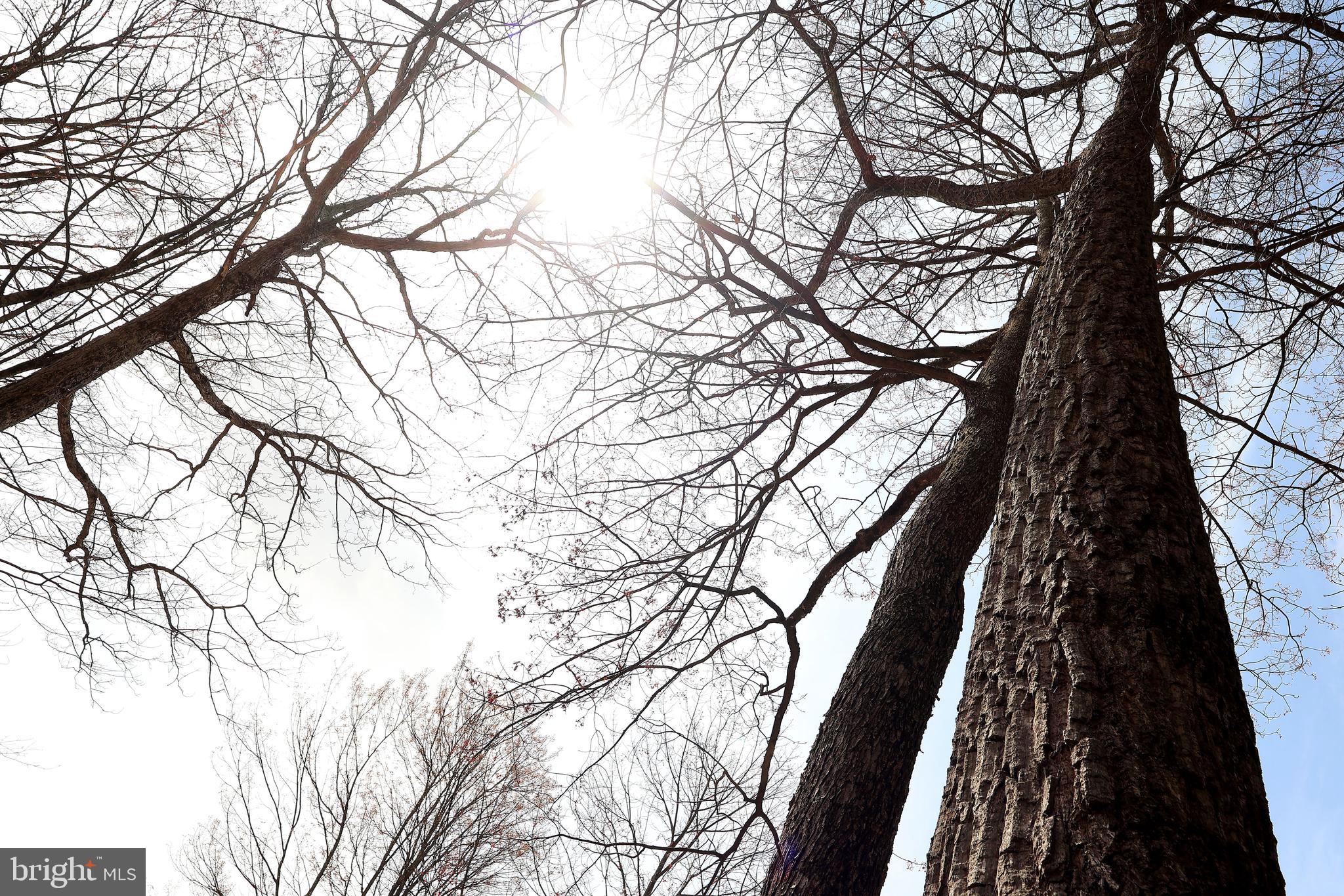 263 White Tail Road Woodward, PA 16882 - Photo 43 of 50