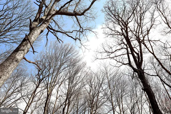 $249,900 | 263 White Tail Road, Woodward, PA 16882