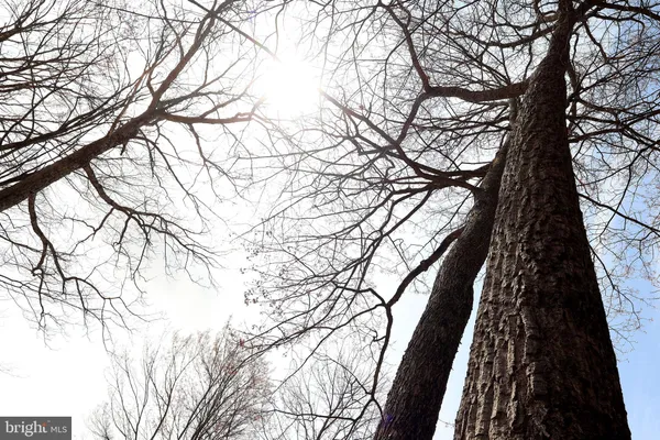 $249,900 | 263 White Tail Road, Woodward, PA 16882