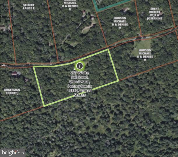 263 White Tail Road Woodward, PA 16882 - Photo 50 of 50 Secluded woodland retreat awaits!