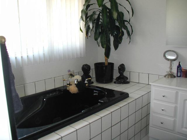 9000 Fremont Way Reno, NV 89506 - Photo 5 of 7 Photo 5