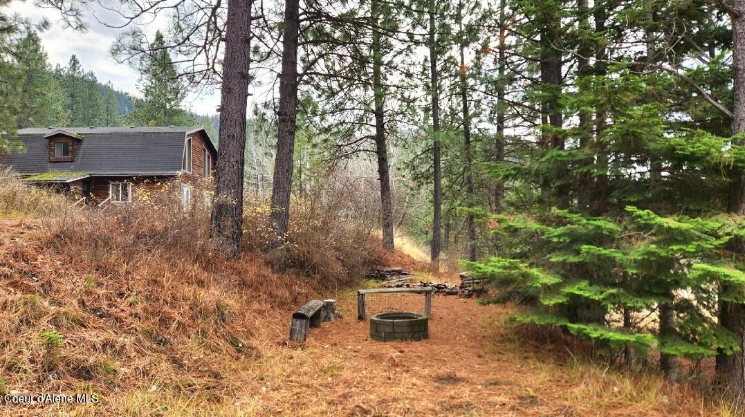 110 Highwood Drive St. Maries, ID 83861 - Photo 9 of 67 110 Highwood