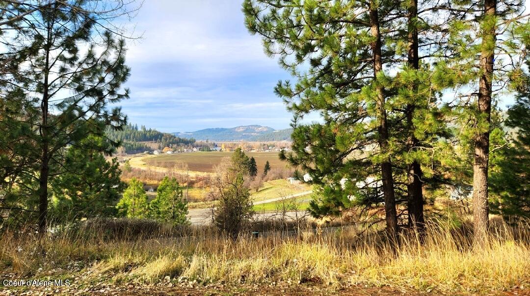 110 Highwood Drive St. Maries, ID 83861 - Photo 10 of 67 110 Highwood