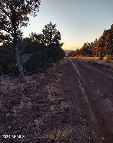 $17,947 | 33 County Road, Show Low, AZ 85901