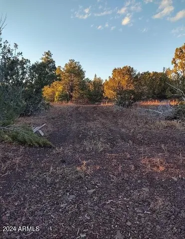 $17,947 | 33 County Road, Show Low, AZ 85901