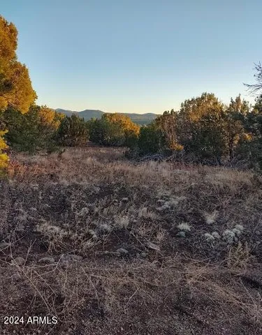 $17,947 | 33 County Road, Show Low, AZ 85901