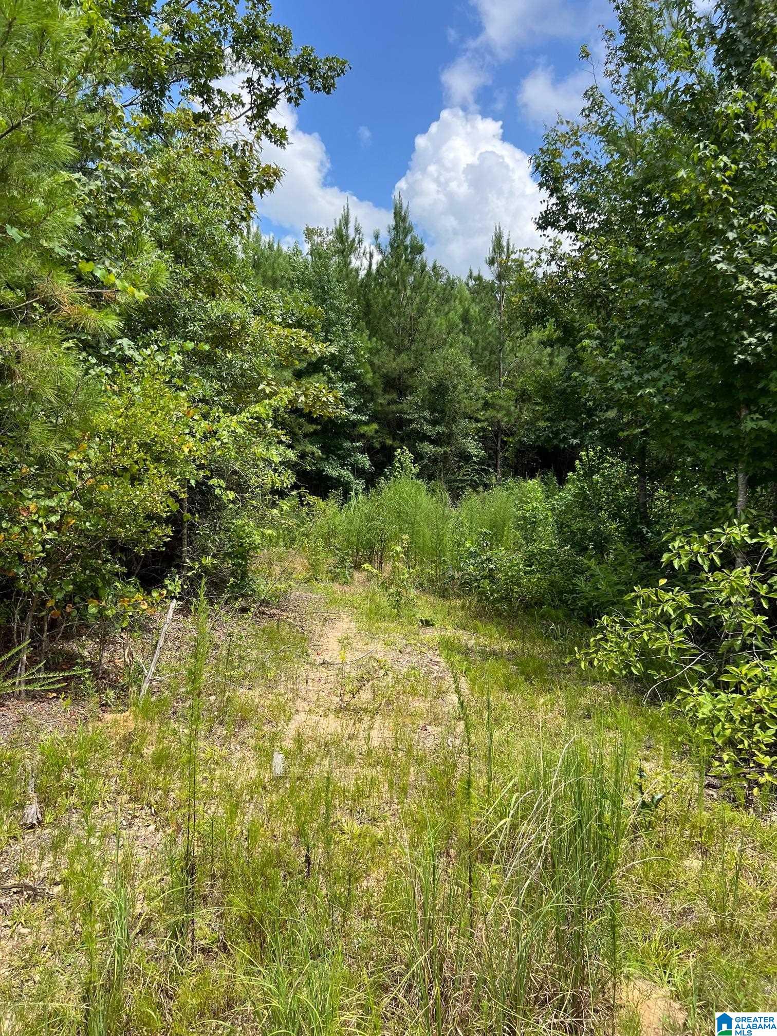 0 Cahaba Hill Road Centreville, AL 35042 - Photo 3 of 13