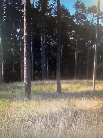 $87,500 | Lot 47 Apollo Way, Canton, MS 39046