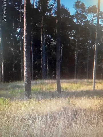 $91,500 | Lot 47 Apollo Way, Canton, MS 39046