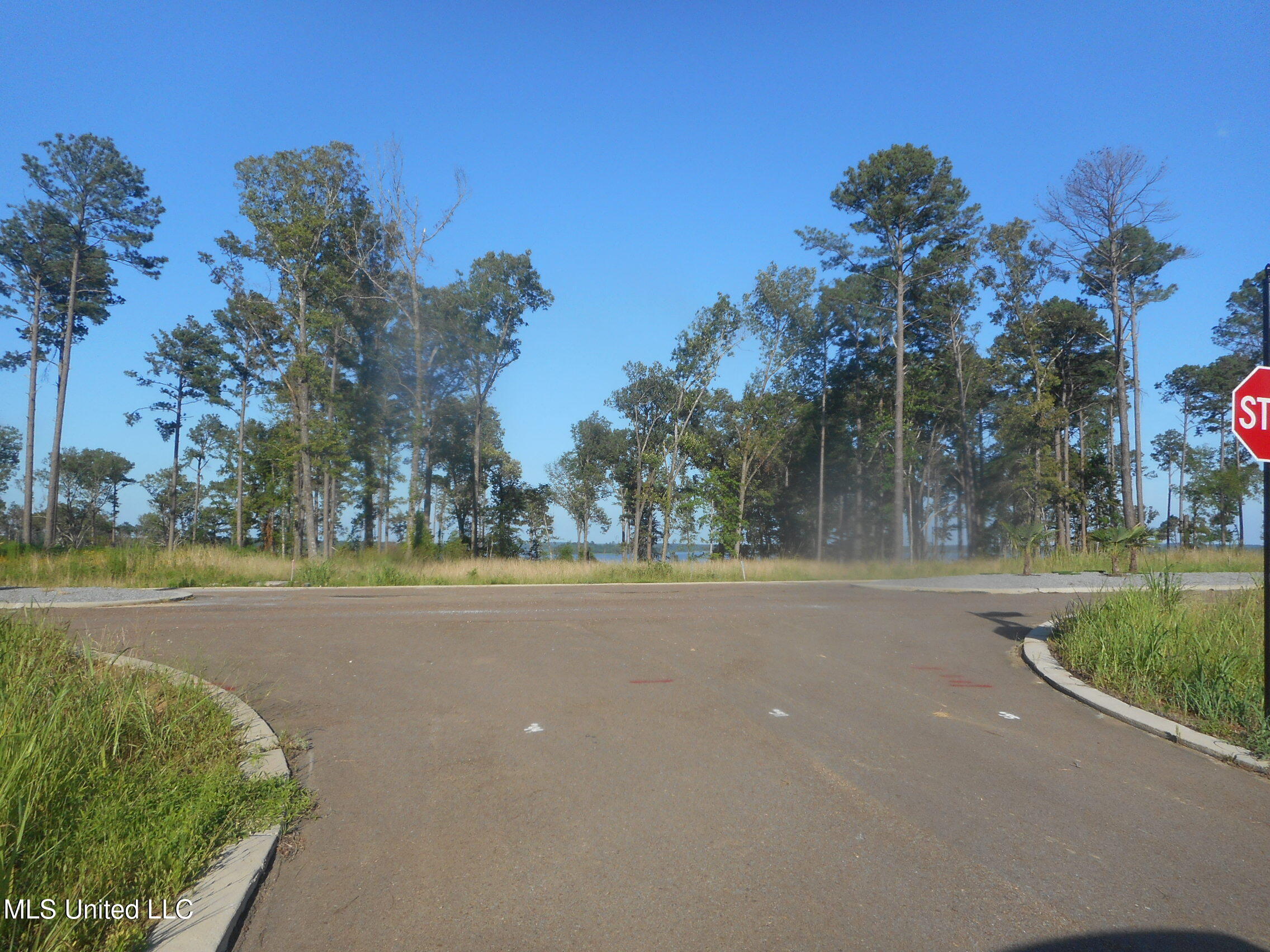 Lot 47 Apollo Way Canton, MS 39046 - Photo 5 of 15 EXPEDITION POINT 005