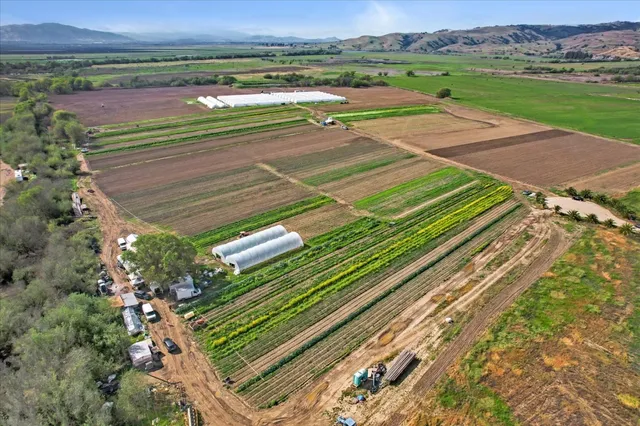 a view of an ocean beach