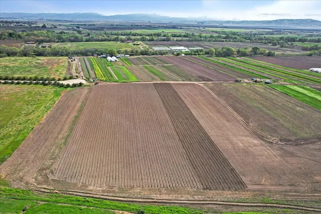 a view of an outdoor space and a yard