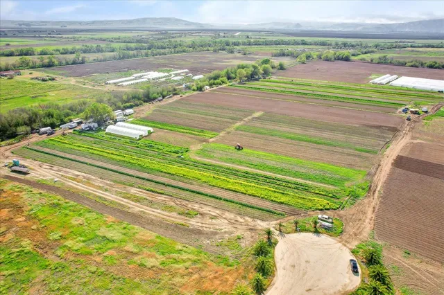 a view of an ocean and beach