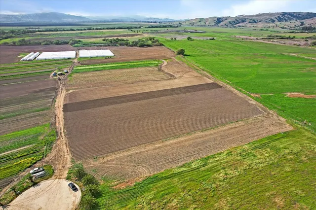a view of swimming pool with a yard